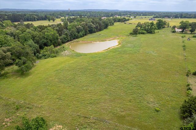 881 VZ County Road 4605, Ben Wheeler, TX 75754