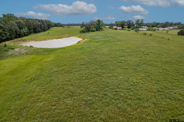 881 VZ County Road 4605, Ben Wheeler, TX 75754