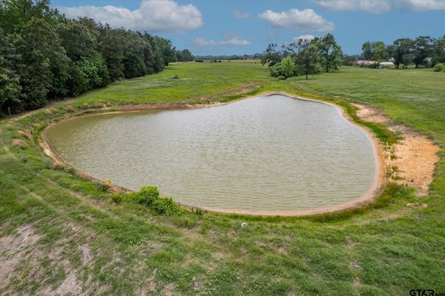 881 VZ County Road 4605, Ben Wheeler, TX 75754