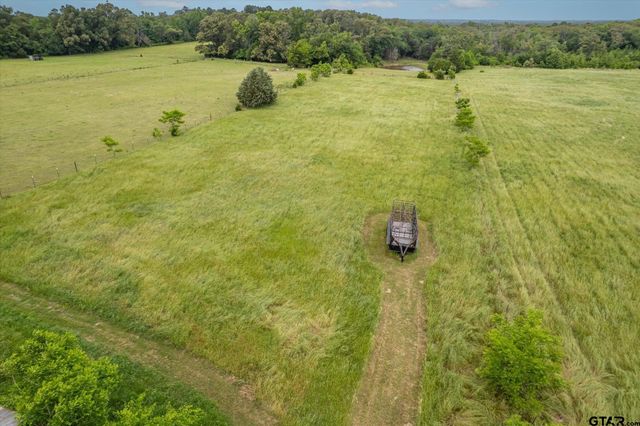 881 VZ County Road 4605, Ben Wheeler, TX 75754