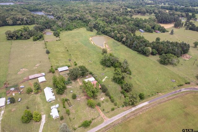 881 VZ County Road 4605, Ben Wheeler, TX 75754