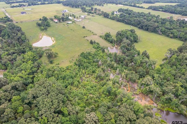 881 VZ County Road 4605, Ben Wheeler, TX 75754