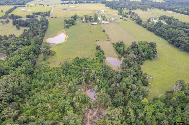 881 VZ County Road 4605, Ben Wheeler, TX 75754