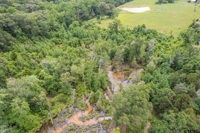 881 VZ County Road 4605, Ben Wheeler, TX 75754