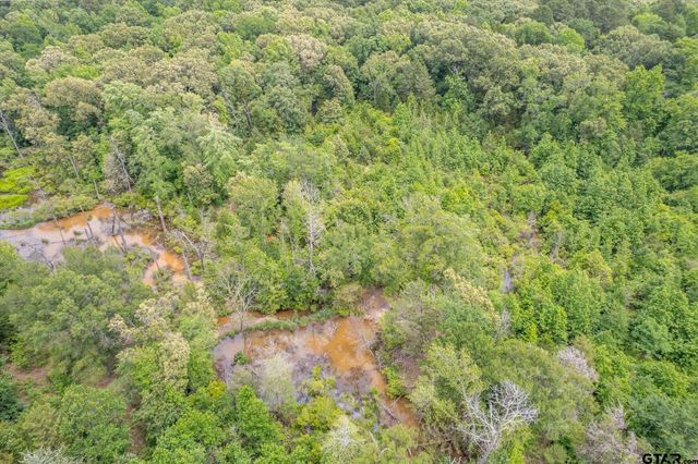 881 VZ County Road 4605, Ben Wheeler, TX 75754