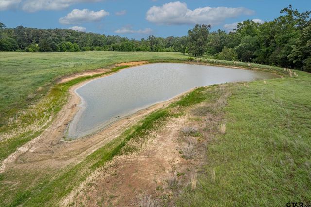881 VZ County Road 4605, Ben Wheeler, TX 75754