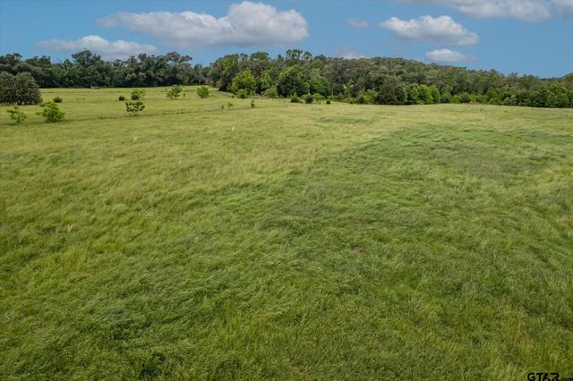 881 VZ County Road 4605, Ben Wheeler, TX 75754