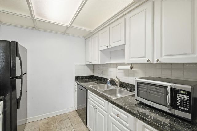 4315 AEGEAN DRIVE 102 C, Tampa, FL 33611