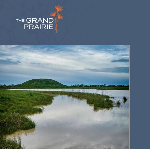 16319 Blue Mistflower Lane, Hockley, TX 77447