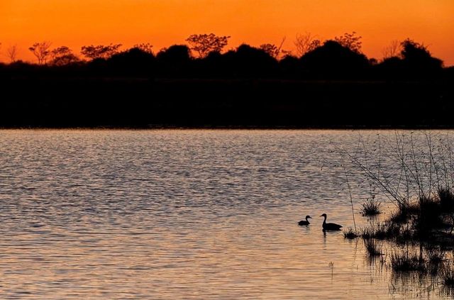 16319 Blue Mistflower Lane, Hockley, TX 77447