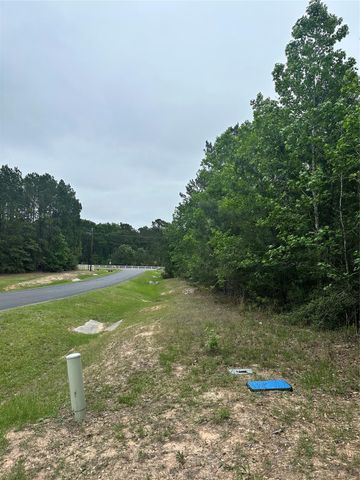 28117 Horse Shoe Lane Lane, Waller, TX 77484