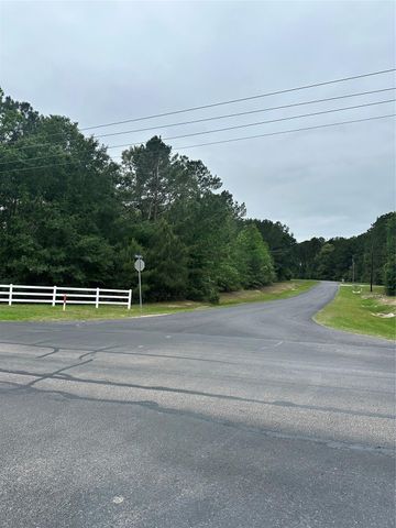 28117 Horse Shoe Lane Lane, Waller, TX 77484