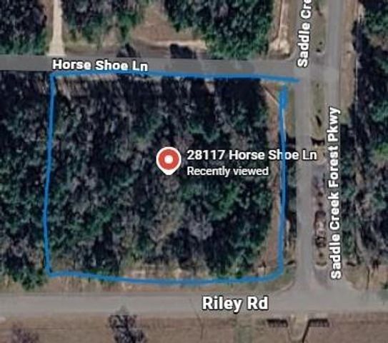 28117 Horse Shoe Lane Lane, Waller, TX 77484