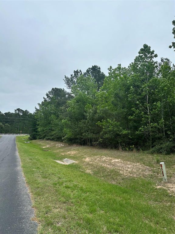 28117 Horse Shoe Lane Lane, Waller, TX 77484