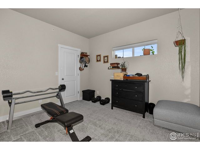 6826 School House Dr 203, Timnath, CO 80547