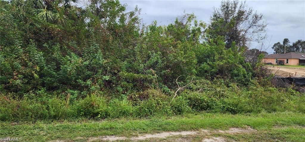 305 Rand AVE, LEHIGH ACRES, FL 33974 — exterior