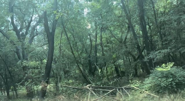 4205 Imperial DR, Austin, TX 78725