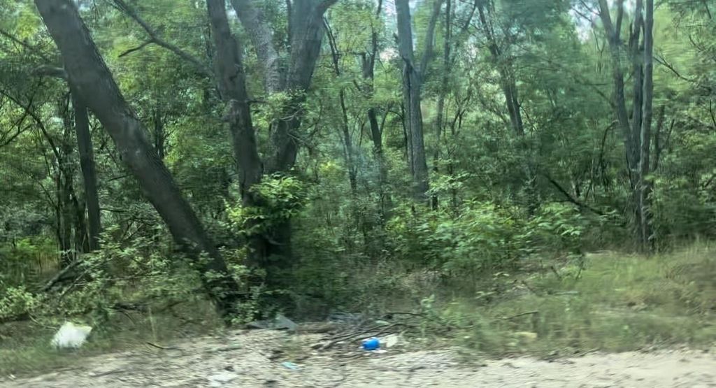 4205 Imperial DR, Austin, TX 78725