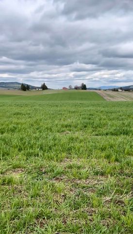 14906 S Madison Rd, Valleyford, WA 99036