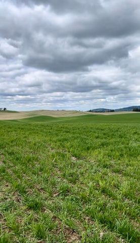 14906 S Madison Rd, Valleyford, WA 99036