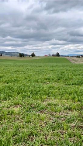 14906 S Madison Rd, Valleyford, WA 99036