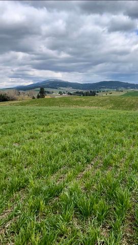 14906 S Madison Rd, Valleyford, WA 99036