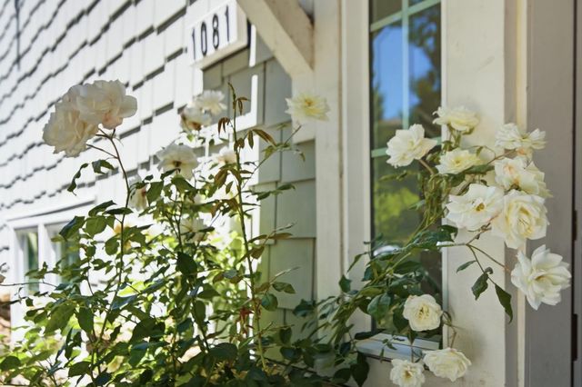 1081 Interlaken Terrace, Sunnyvale, CA 94089