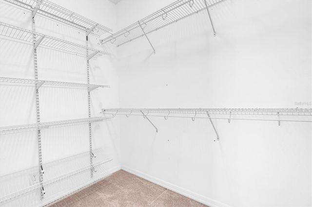 13413 BATTEN LANE, Odessa, FL 33556