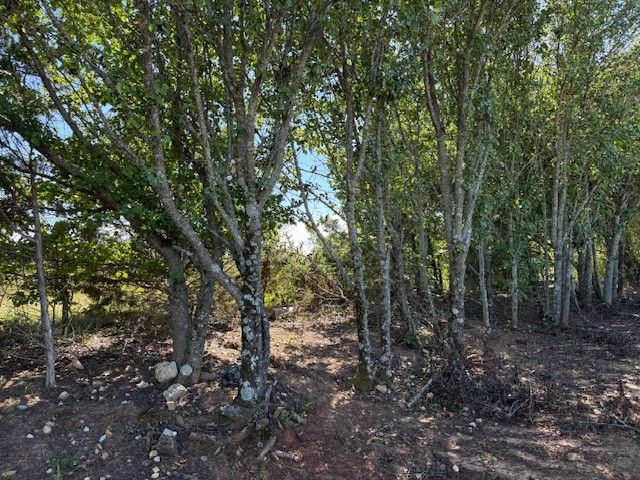 289 Mimosa Dr, Decherd, TN 37324