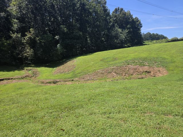 6353 Morton Rd, Greenbrier, TN 37073