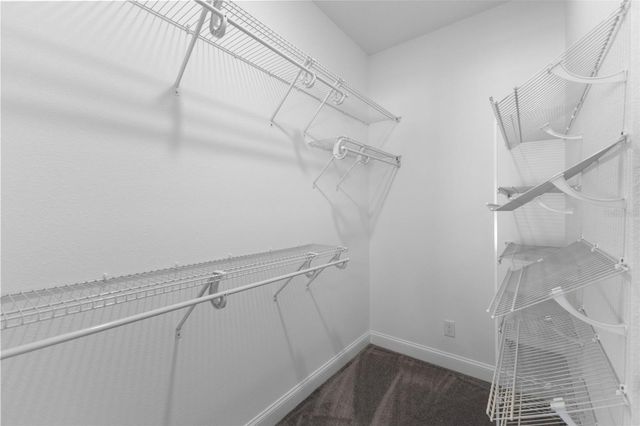 8704 KENYON VIEW COURT, Tampa, FL 33614