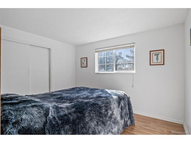 357 Saturn Pl, Lone Tree, CO 80124