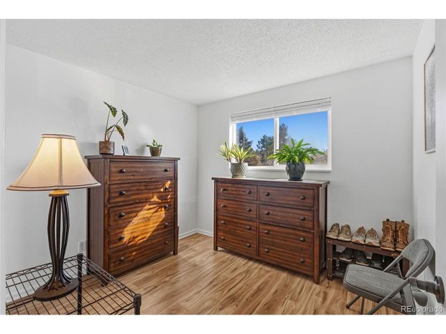 357 Saturn Pl, Lone Tree, CO 80124