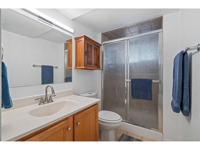 357 Saturn Pl, Lone Tree, CO 80124