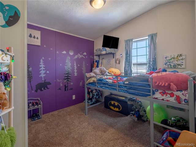 29600 County Road 353 38, Buena Vista, CO 81211