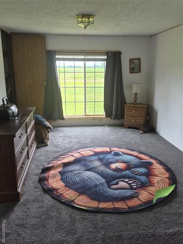 12849 S Delaney Road, Perry, MI 48872