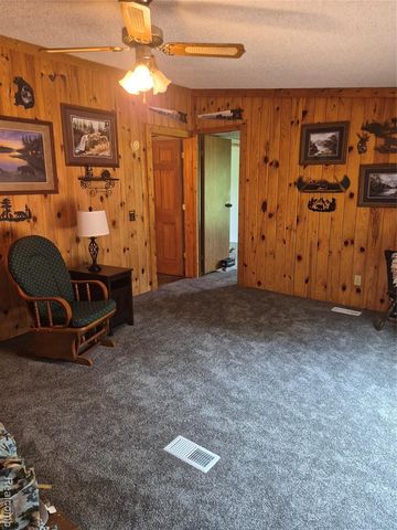 12849 S Delaney Road, Perry, MI 48872