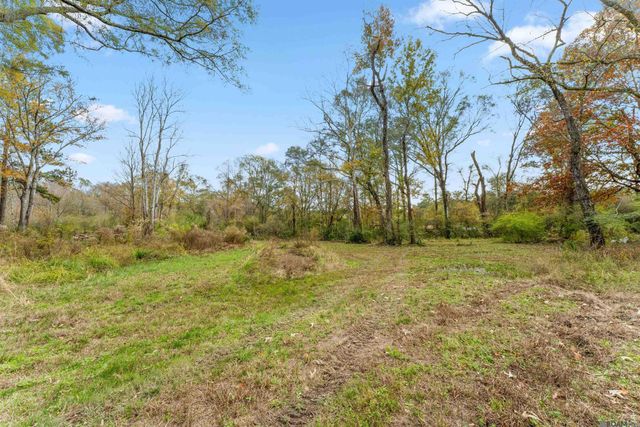 8472 Shaffett Ln, Ethel, LA 70730