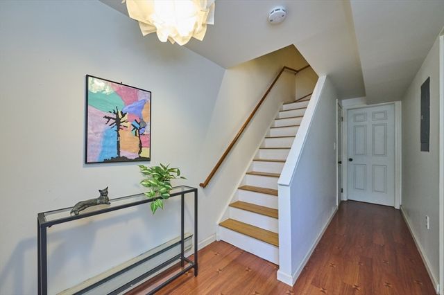 31 Angela Lane 31, Watertown, MA 02472