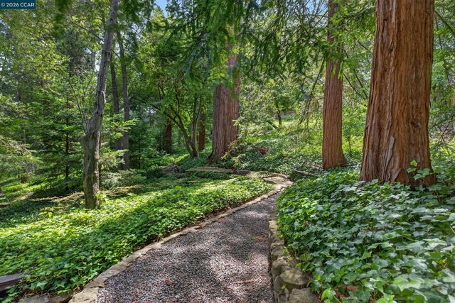 56 Camino Encinas, Orinda, CA 94563