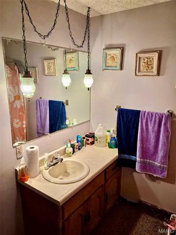 20605 Highway 28, Dixon, MO 65459