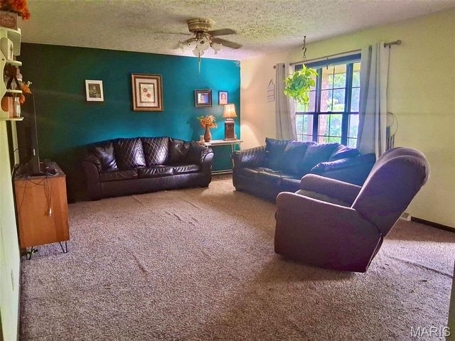 20605 Highway 28, Dixon, MO 65459