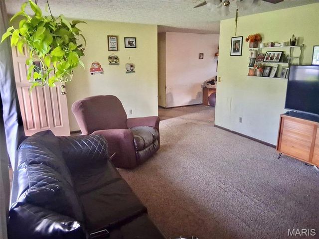 20605 Highway 28, Dixon, MO 65459