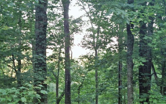 16 Oak Ridge North, Hayesville, NC 28904