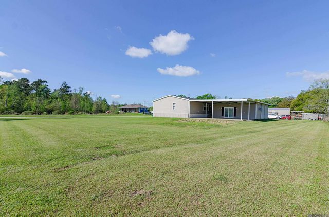 44067 La Coulee Road, St Amant, LA 70774