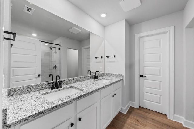 9513 Balmy LN, Manor, TX 78653