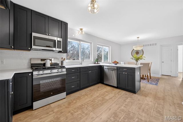 12166 La Padera Lane, Florissant, MO 63033