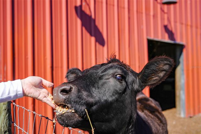 9931 SE ENGLISH AVENUE, Arcadia, FL 34266