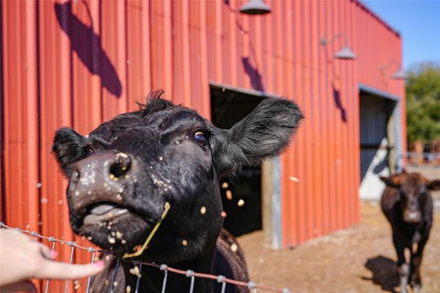 9931 SE ENGLISH AVENUE, Arcadia, FL 34266