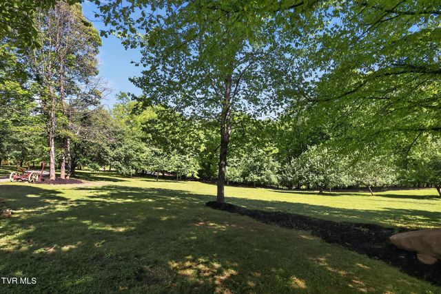 13544 Revera Drive, Mendota, VA 24270